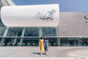 DBS PayLah! Stamp Cards - Collect Stamps To Redeem Cashback