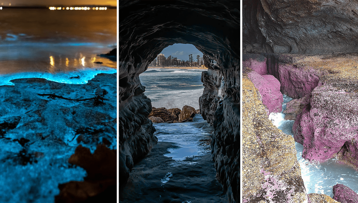 Sydney Bioluminescence, Queenscliff Tunnel, Pink Caves