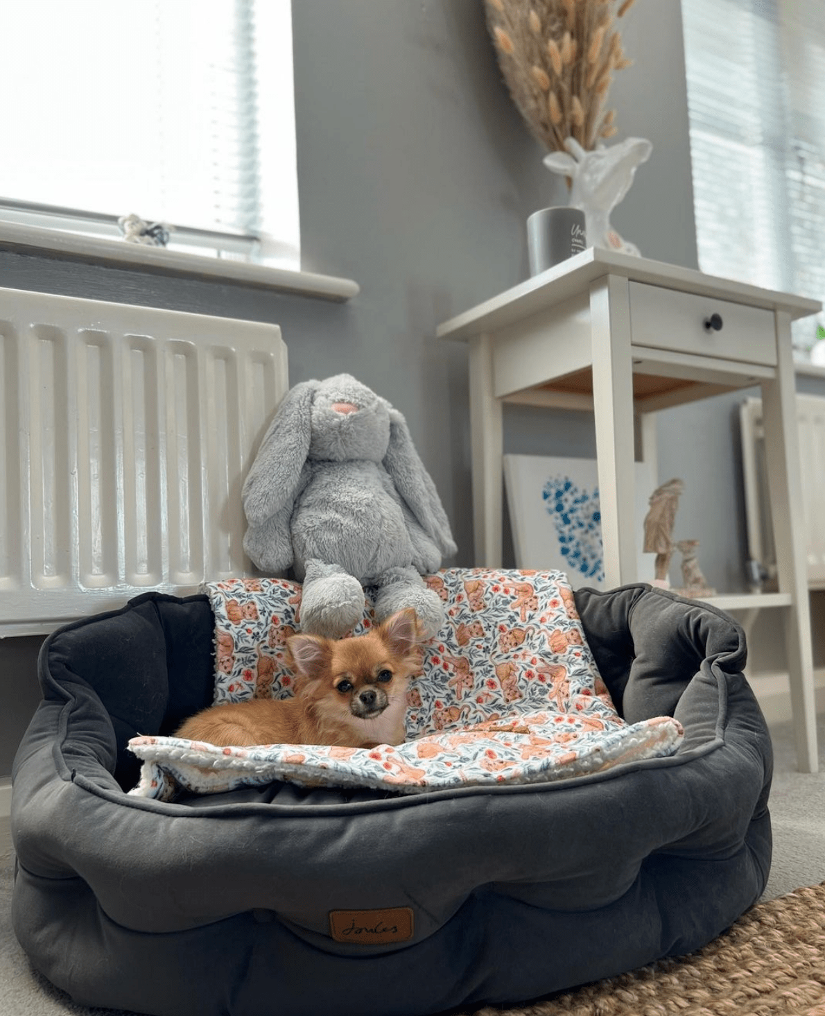 Dog Bed With Toys
