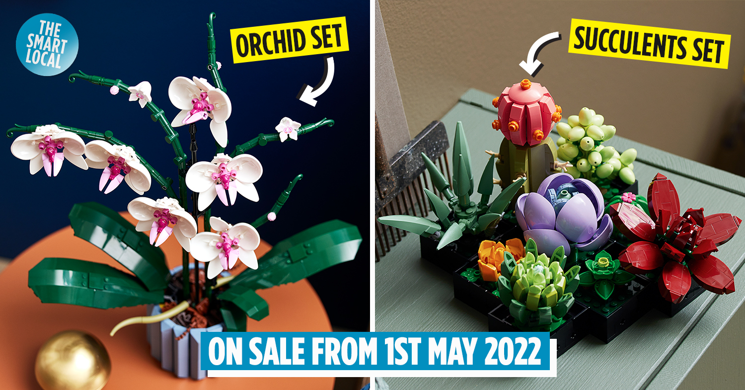 LEGO Orchid Review! 2022 Botanical Collection 