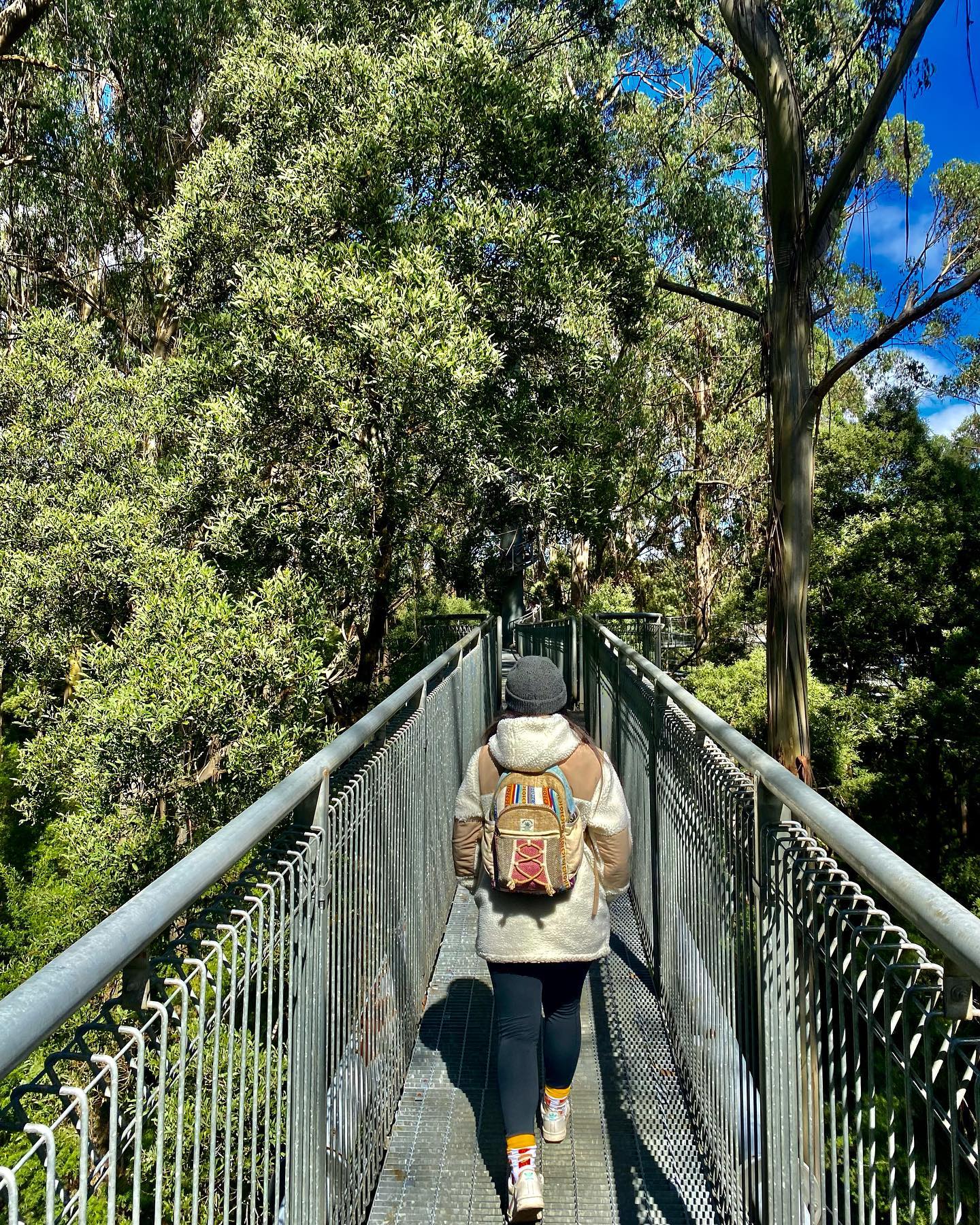 melbourne day trips - Great Otway National Park