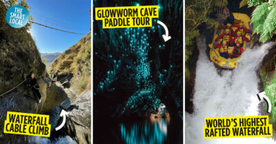 thrilling things to do in new zealand