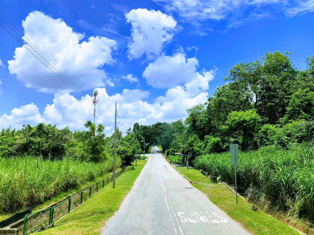 things to do in singapore - road in lim chu kang