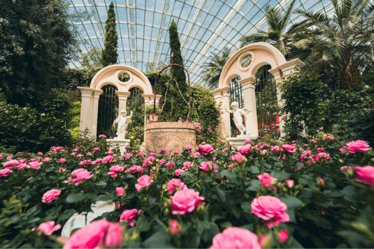 Gardens By The Bay Has A New Rose Romance Floral Display