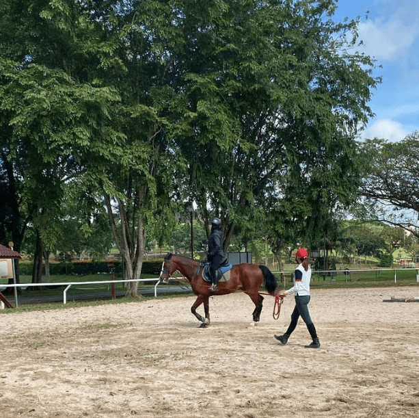 JB Outdoor Activities - Nadi Equestrian Center