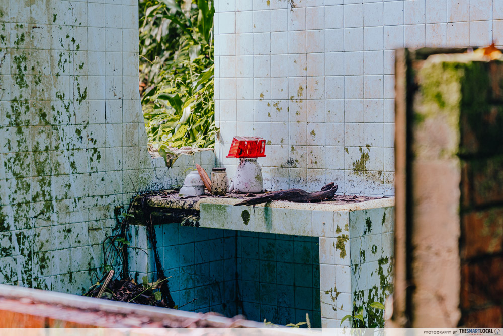 abandoned kitchen at thomson nature park 