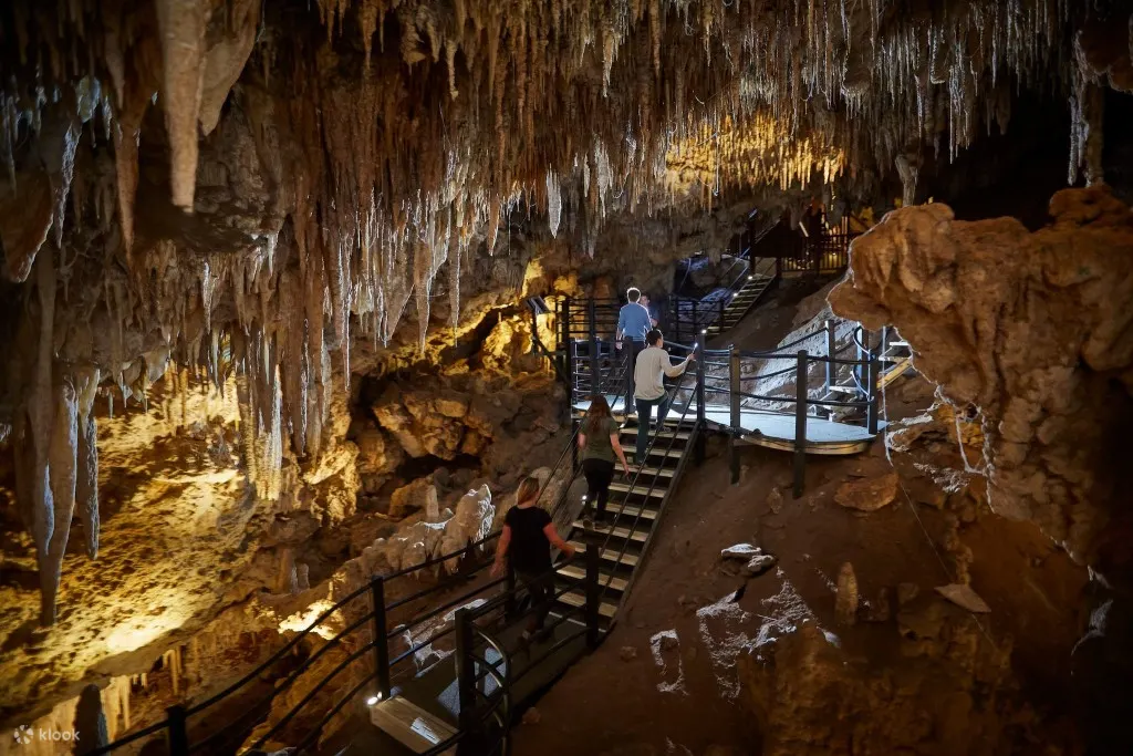 Ngilgi Cave 