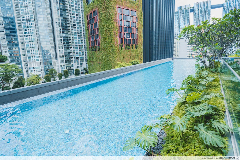 Sofitel Singapore City Centre Staycation Infinity Pool