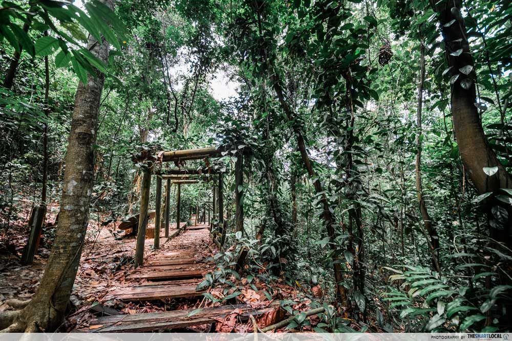 abandoned places in singapore - bukit batok hillside park