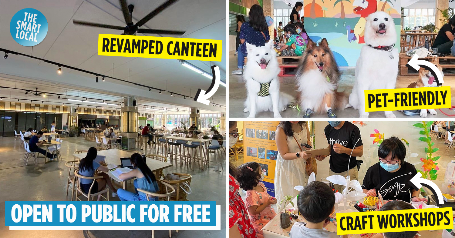 City Sprouts Is An Urban Farm Hidden In An Old Secondary School