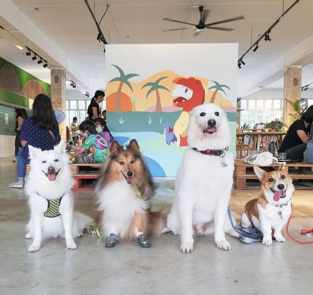 City Sprouts Is An Urban Farm Hidden In An Old Secondary School