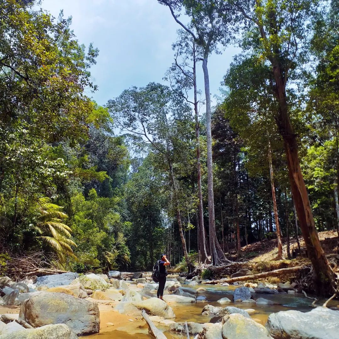 johor hiking trails - Gunung Belumut