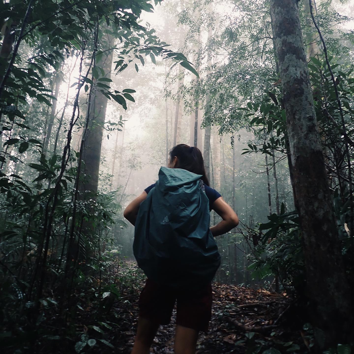 johor hiking trails - Gunung Belumut