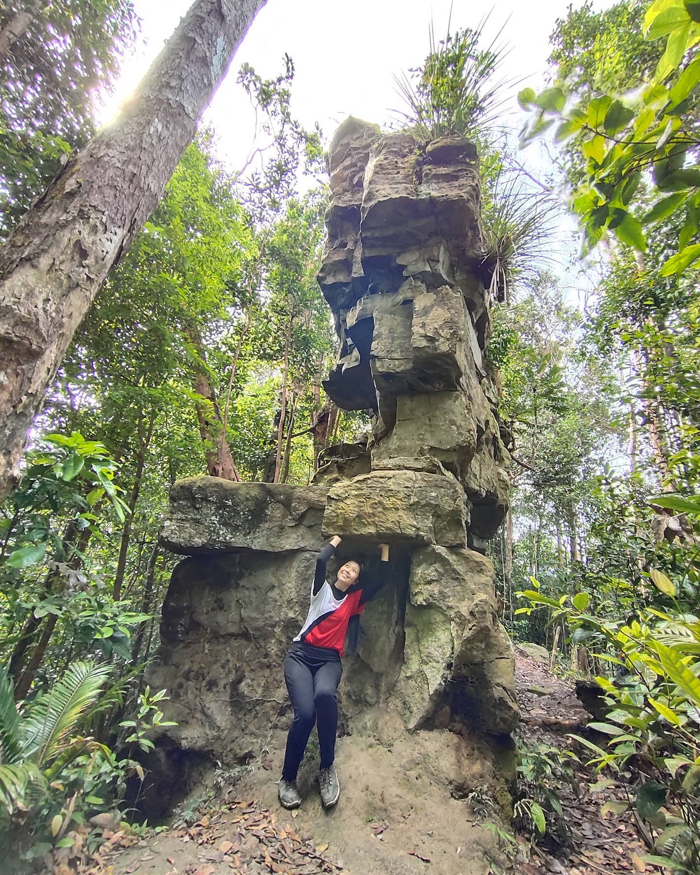 johor hiking trails - Gunung Panti 