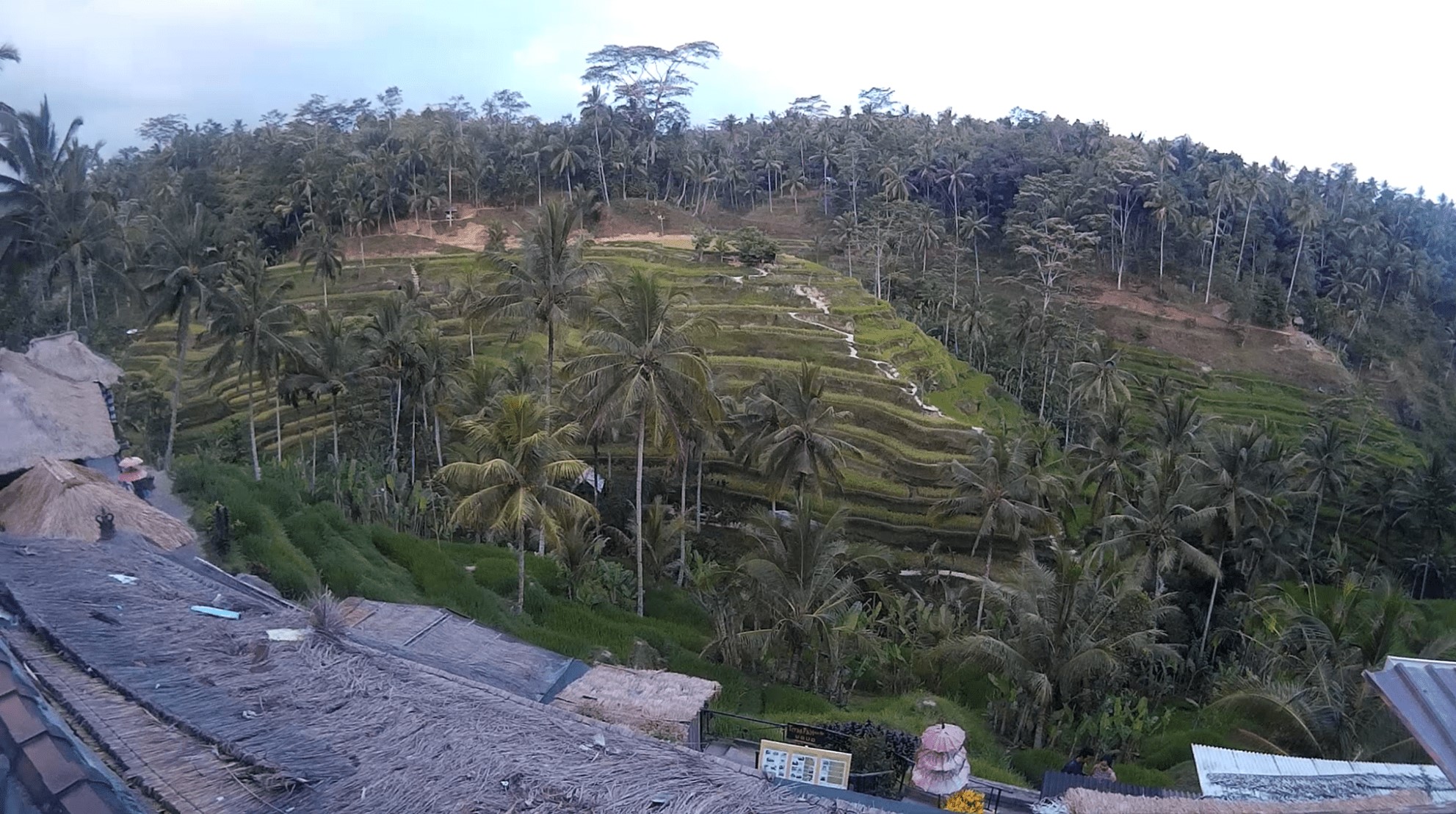 tegallalang rice terraces in bali