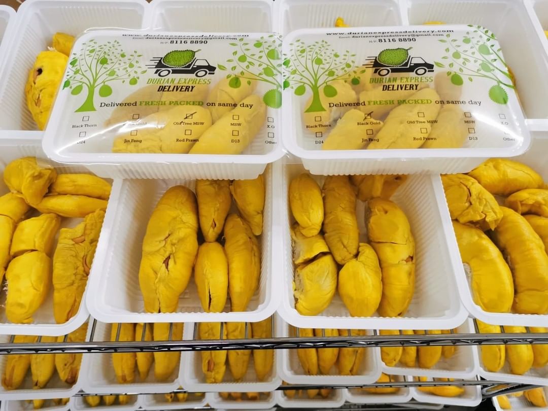 Jasa pengiriman durian