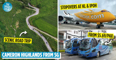 How to get from Singapore to Cameron Highlands - cover