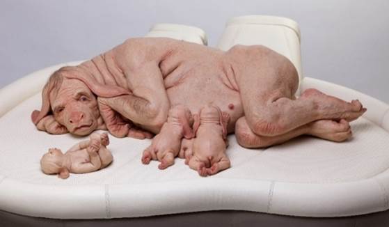 Patricia Piccinini We Are Connected - The Young Family, 2002