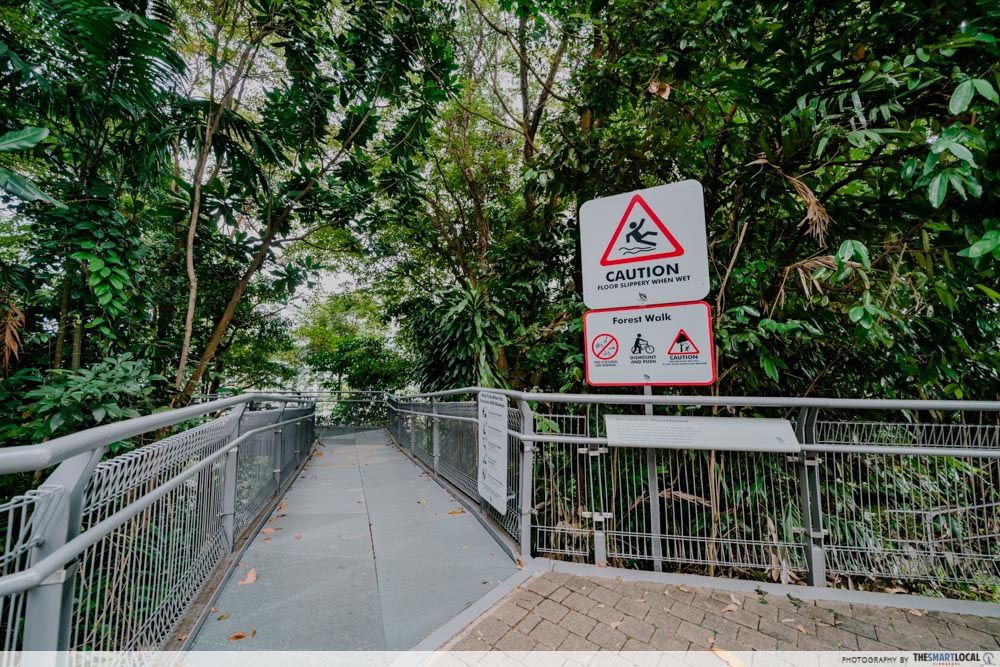 Things to do at the Southern Ridges - Forest Walk