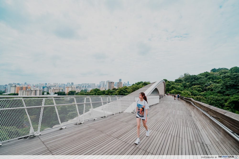  Things to do at the Southern Ridges - Henderson Waves