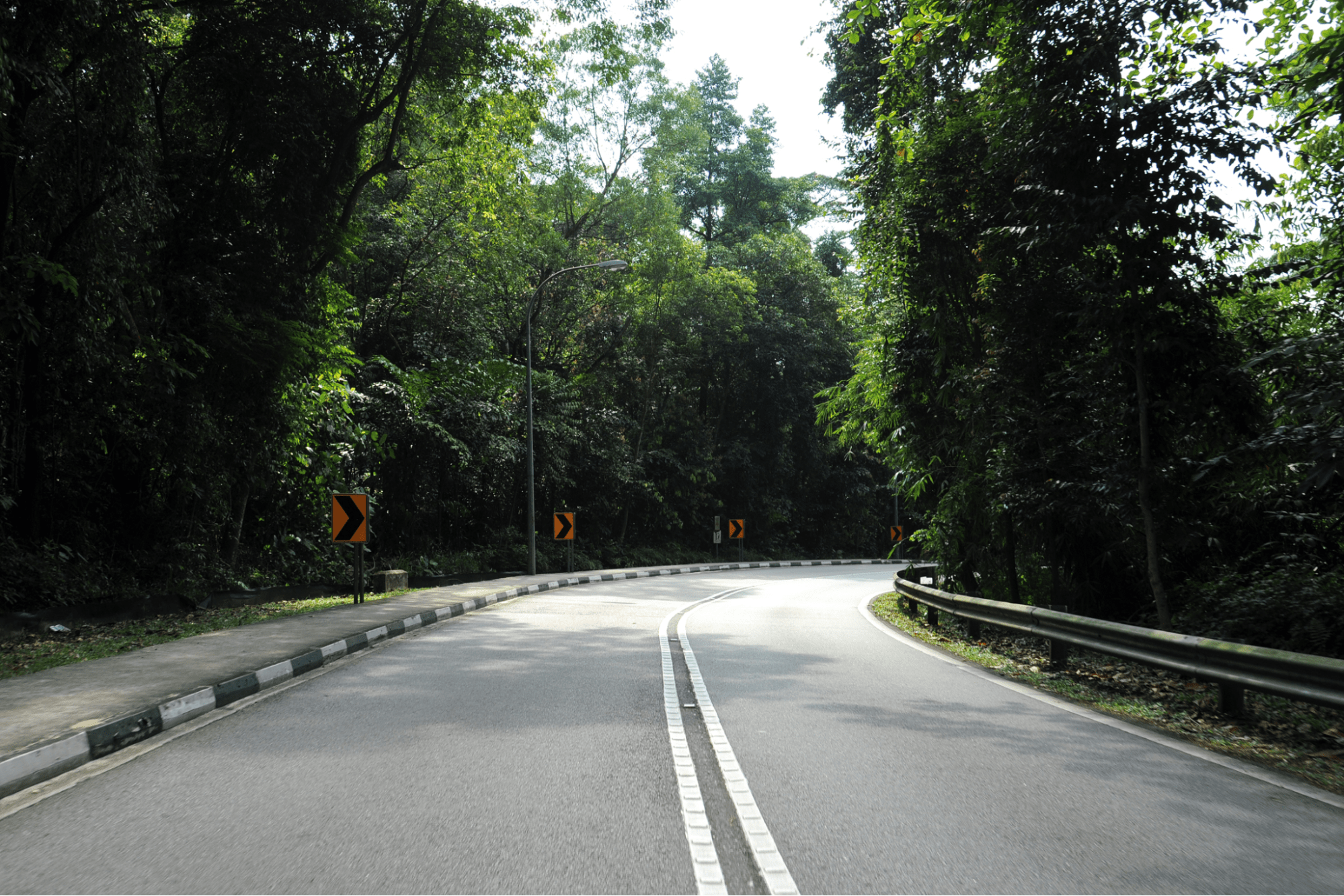 South Buona Vista Road