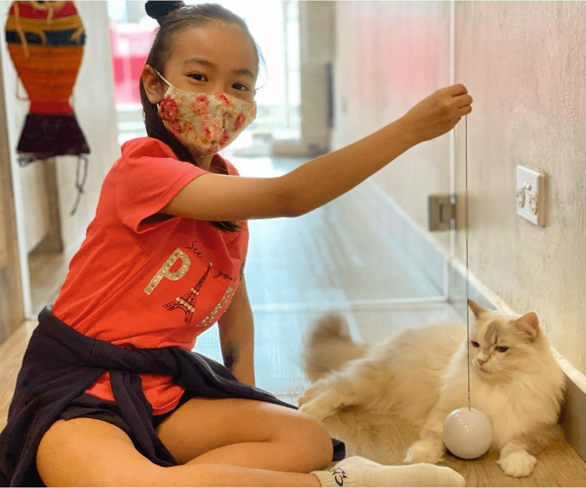 meomi cat cafe is kid-friendly