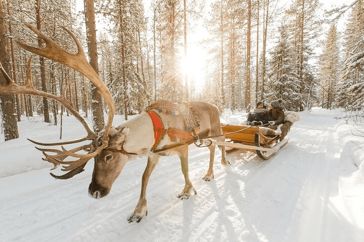Winter holiday ideas for Singaporeans - Finland