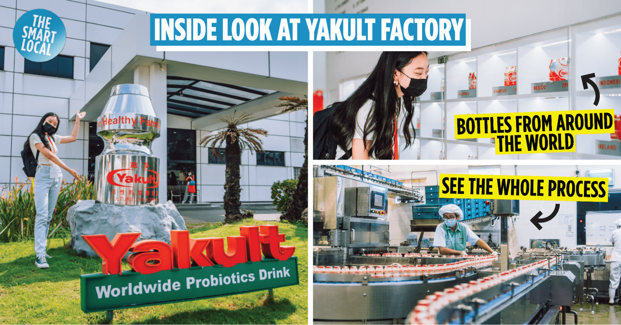 yakult factory tour review