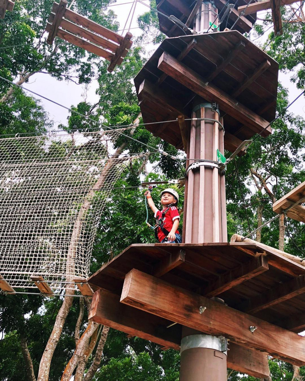 kid-friendly activities in Singapore - Forest Adventure 