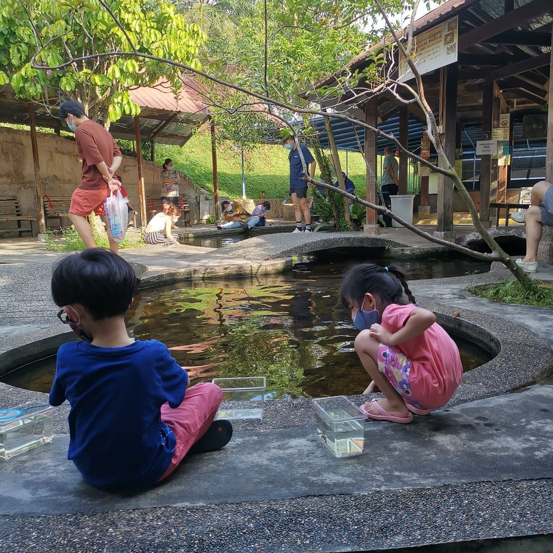 kid-friendly activities in Singapore - Qian Hu Fish Farm
