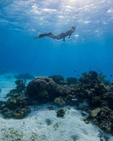 10 Lesser-Known Snorkelling Sites Near Singapore