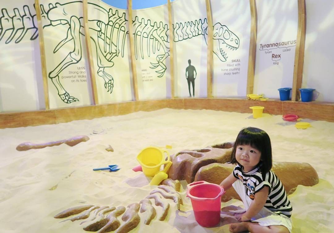 Dinosaur Fossil Sand Pit
