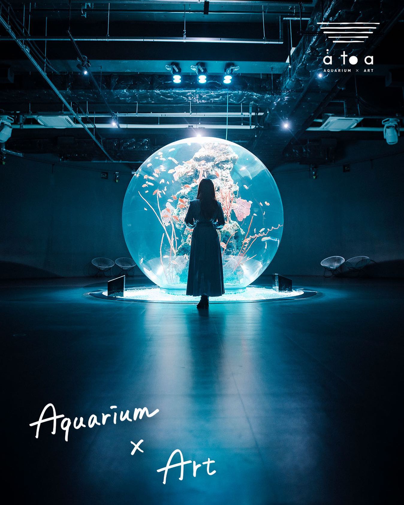 atoa aquarium