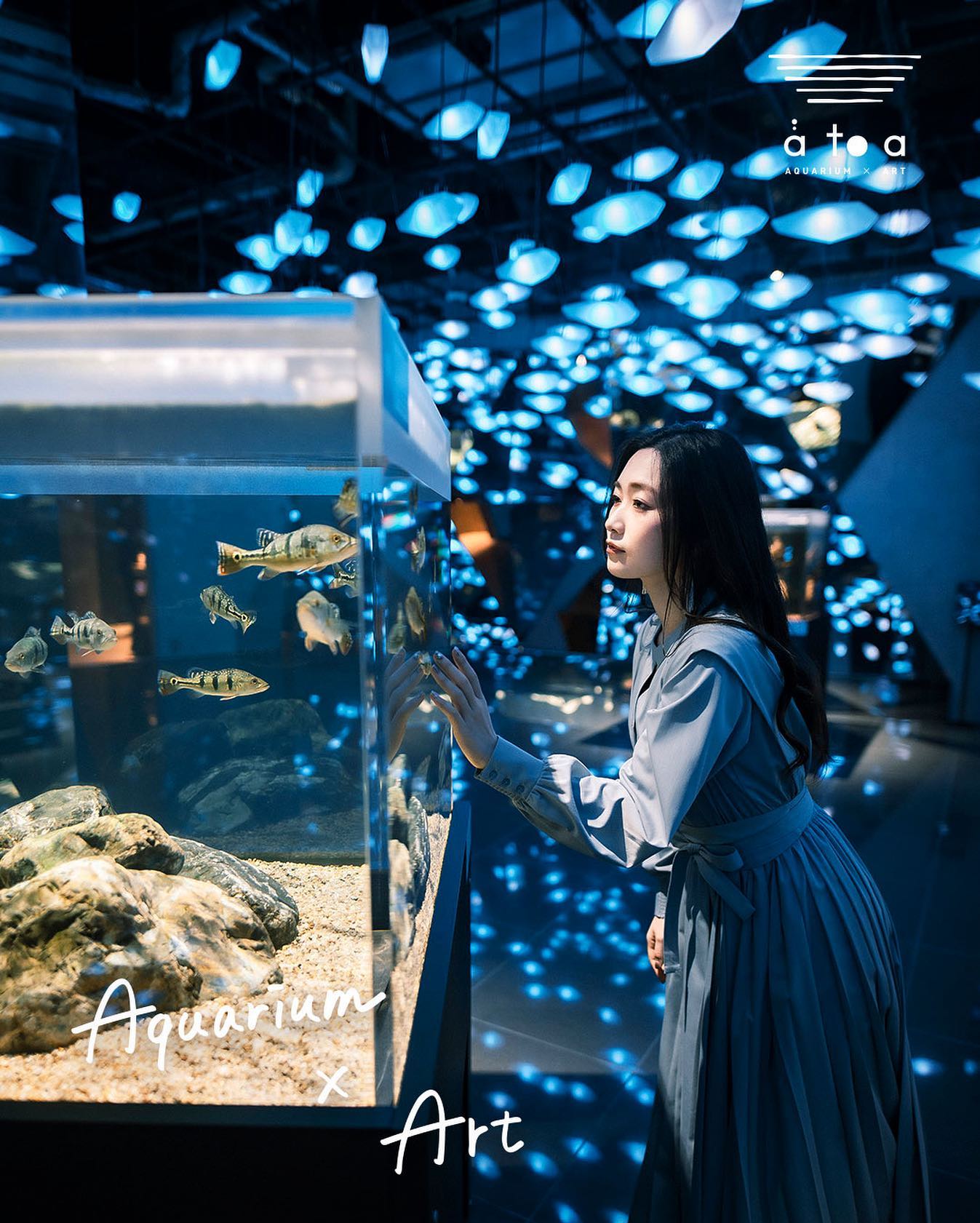 japan - atoa aquarium