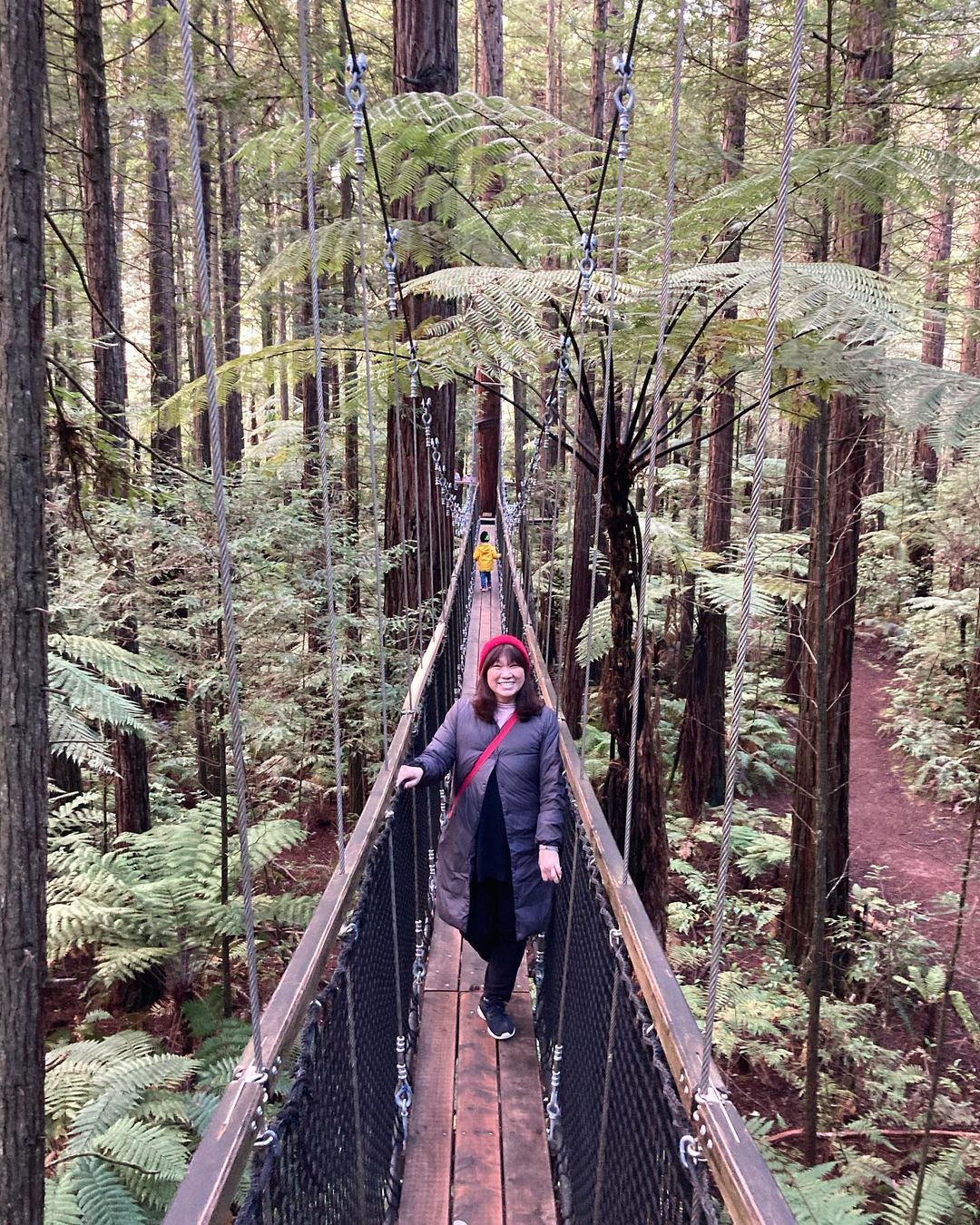 redwoods treewalk