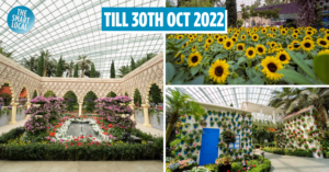 Gardens By The Bay's New Floral Display Brings Spain’s Sunflowers & Rustic Landmarks To Singapore