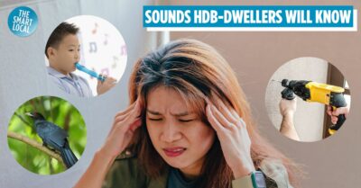 Ultimate Ranking Of The Most Headache-Inducing Sounds In SG, Some Even Worse Than The Uwu Bird