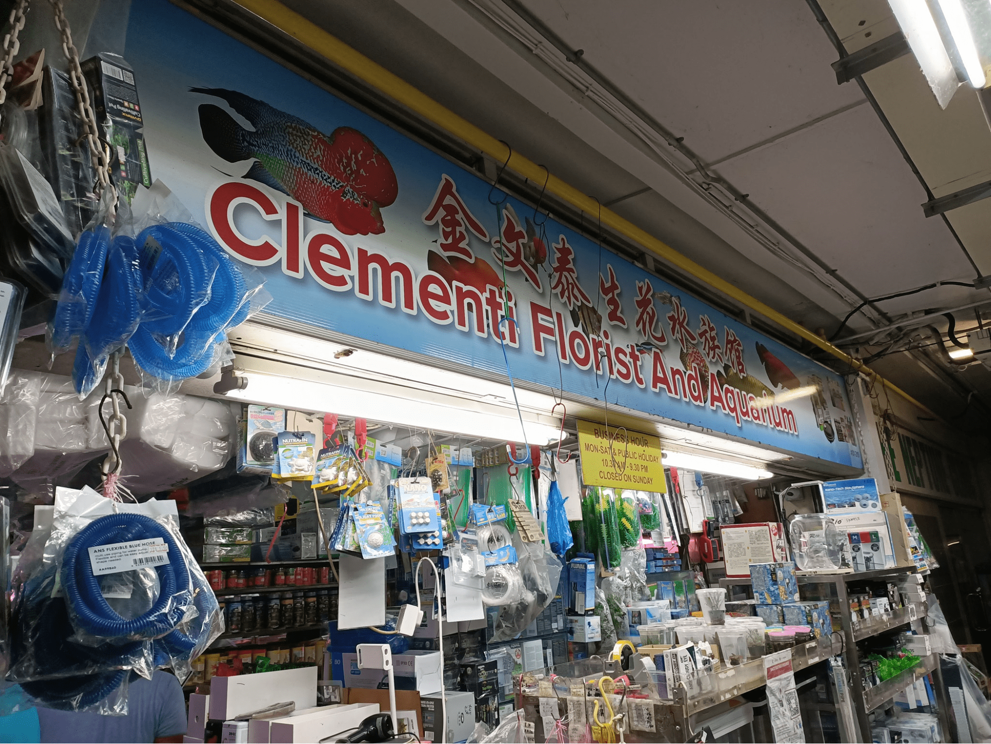 Clementi Florist & Aquarium