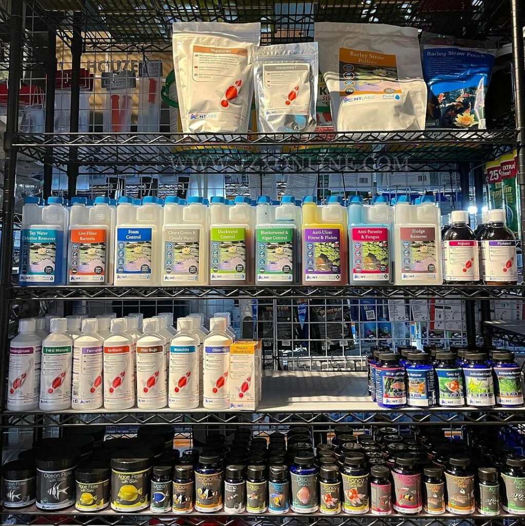 15 Aquarium Shops In Singapore For OneOfKind Fish & Aquascaping