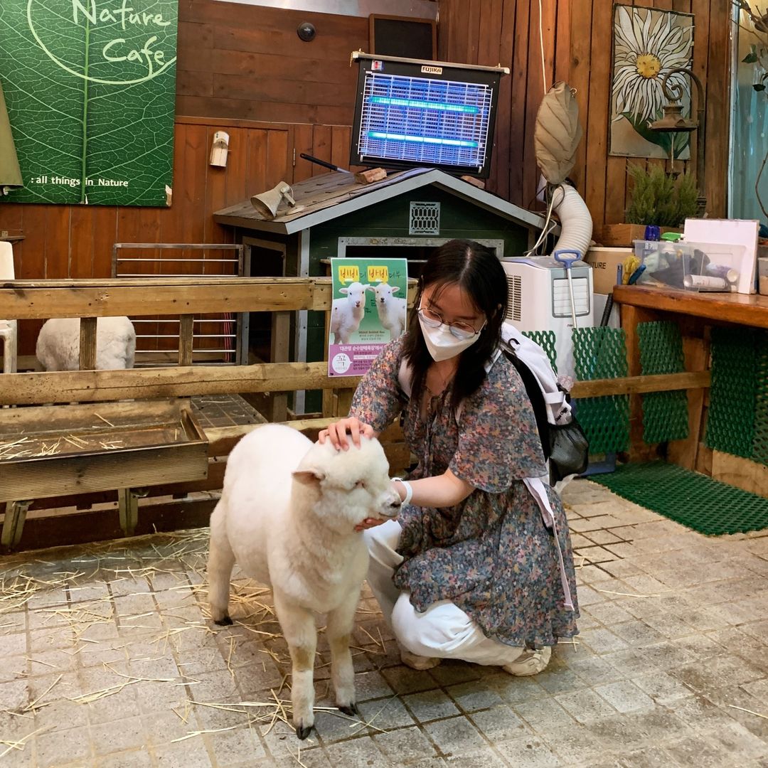 7 Bizzare Foodie Experience Thanks Nature Cafe with Sheep