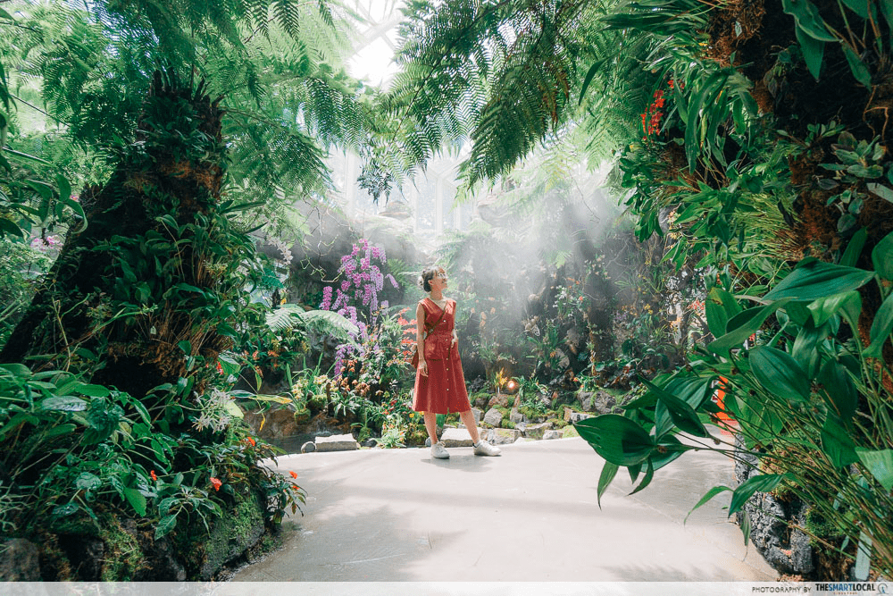 parks of singapore - tropical montane orchiteum
