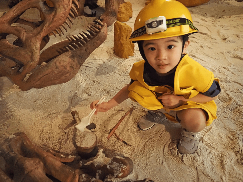 Dinoland SAFRA Yishun - Fossil Digging