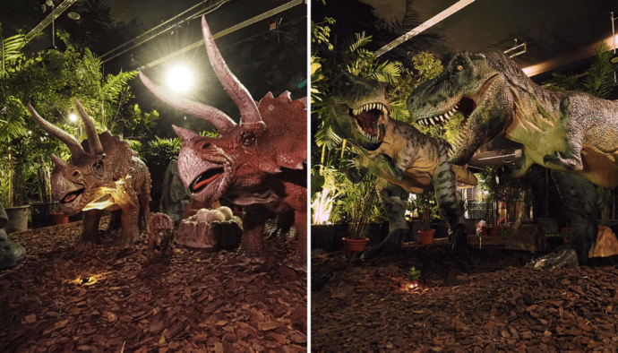 Dinoland At SAFRA Yishun - Indoor Dinosaur Forest Trail For All Ages