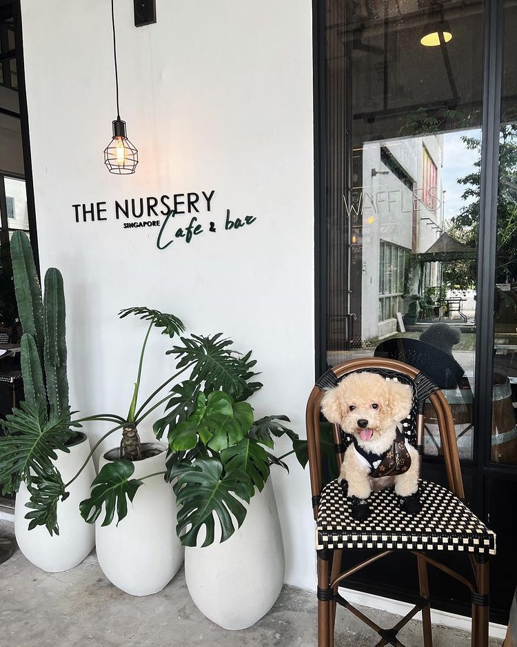 The Nursery Cafe & Bar - Exterior with potted plants and pet dog