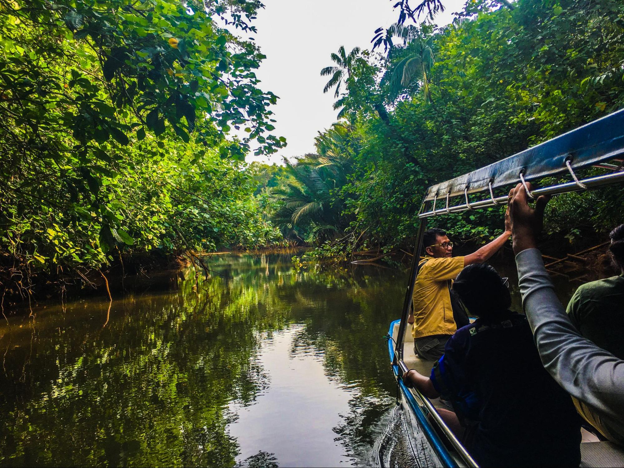 10 Things To Do in Desaru Mangrove Tour