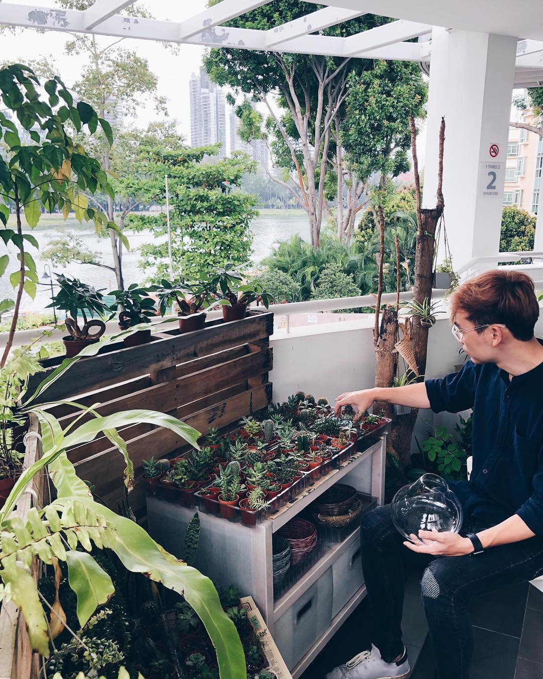 Unique cafes in Singapore - The Plant Story