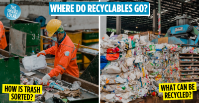 We Visited A Materials Recovery Facility In Singapore To See What Happens To Our Trash Behind The Scenes
