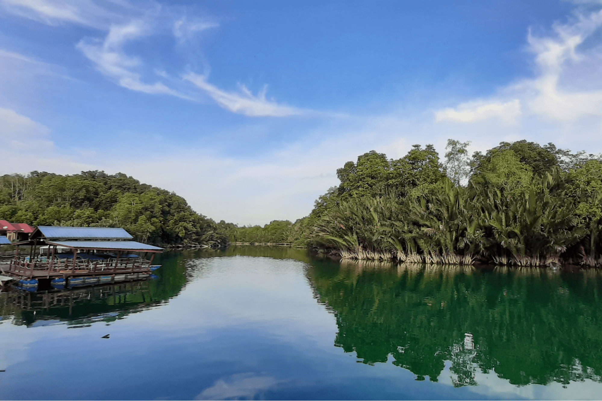 desaru daycation package - mangrove tour