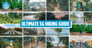 hiking trails in Singapore