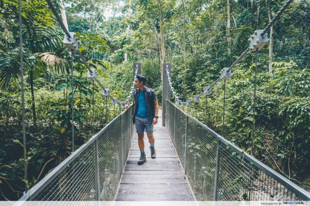 hiking trails in Singapore - Chestnut Nature Park